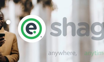 Eshagi – A New Startup By Munyaradzi Gwatidzo