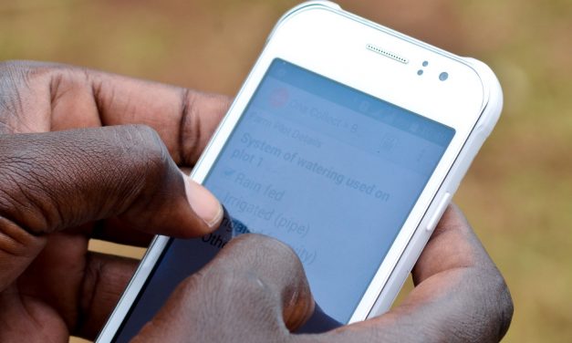 The dangers of “cellphone farming”