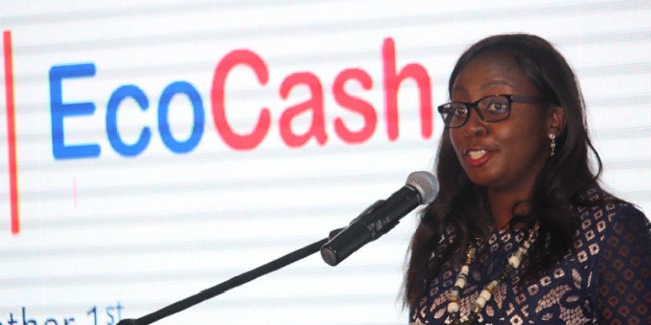 FIU goes after Ecocash and Cassava CEOs: Charges Explained