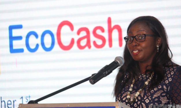 FIU goes after Ecocash and Cassava CEOs: Charges Explained