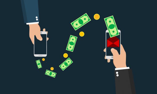 A Ponzi scheme called Ecocash: an analysis of the accusations