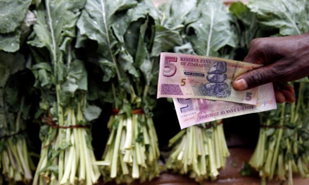 How businesses and the markets are responding to RBZ decisions