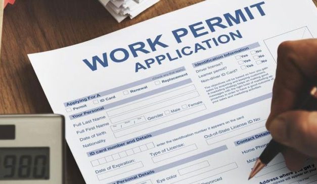 Applying for a South African Work Permit