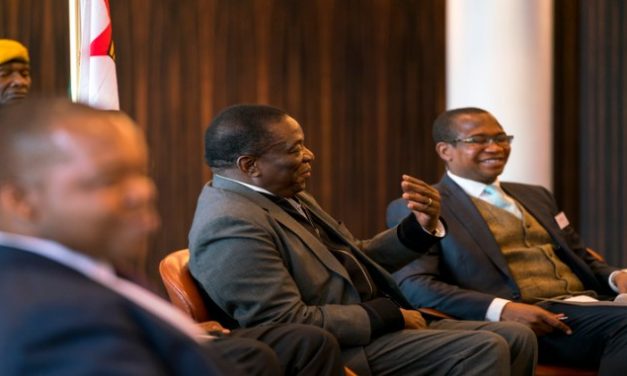 Transitional Stabilisation Programme Update Highlights