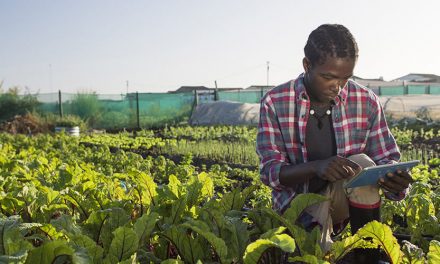 Agriculture Support Services In Zimbabwe