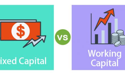 Capital vs Working Capital
