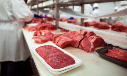Starting A Meat Processing Business In Zimbabwe