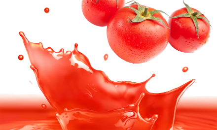 How To Start A Tomato Sauce Manufacturing Business