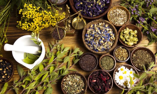 Medicinal herbs and shrubs to grow in Zimbabwe