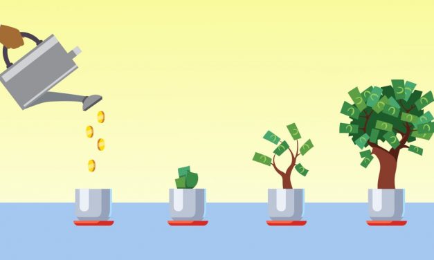 Investment companies in Zimbabwe