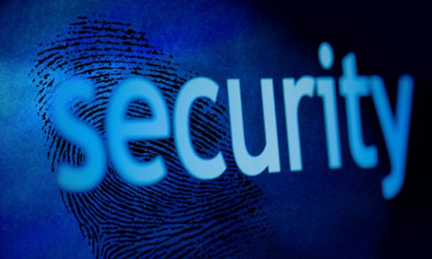 Security business ideas for Zimbabwe