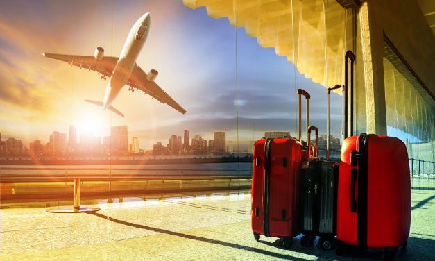 Tourism Business Ideas For Zimbabwe