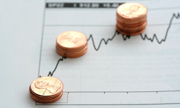 ZSE Small Cap counters performance in 2021