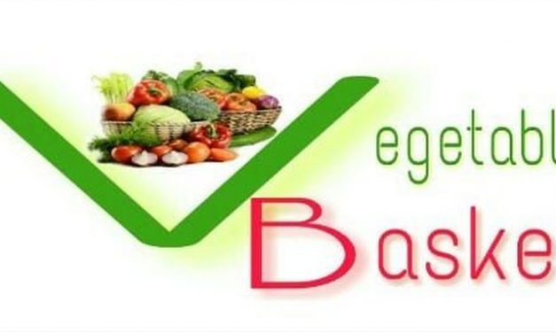 Vegetable Basket – A Zimbabwean Ecommerce Agribusiness In The Space