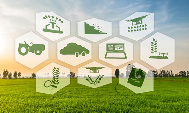 Business Prospects In The Sustainable Agriculture Industry