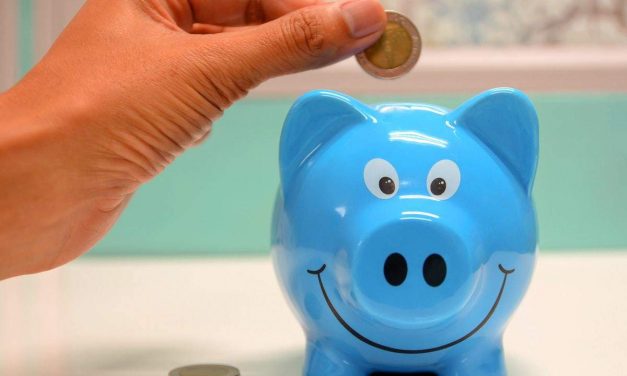 The Percentage Of Your Business Profits You Should Reinvest Or Retain