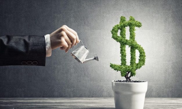 ZSE investing advice from our community