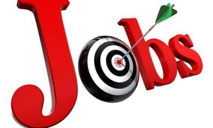 7 Tips For Job Hunting In Zimbabwe