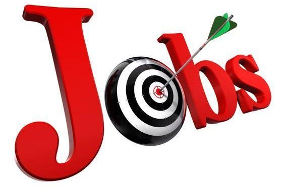 7 Tips For Job Hunting In Zimbabwe