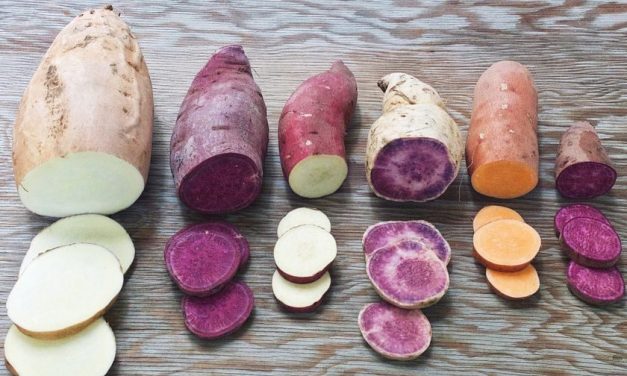 Preserving And Processing Sweet Potatoes