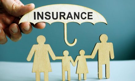 Types of personal insurance available in Zimbabwe