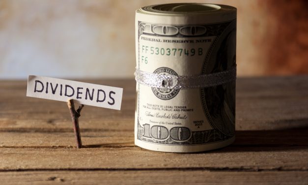 Understanding the dividend share issue