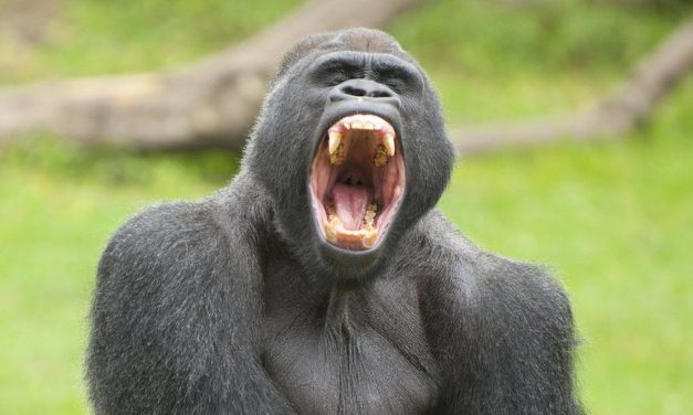 4 Guerrilla Marketing Examples