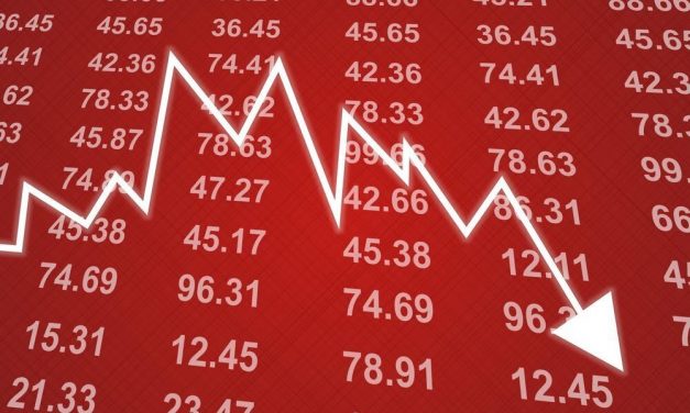 ZSE sheds 3.7% in August 2021