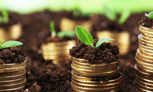 Quarter 3 Unit Trusts performance update: Are they worth your money?