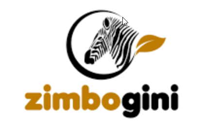 Zimbogini: Easy does it for eCommerce startup