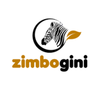 Zimbogini: Easy does it for eCommerce startup