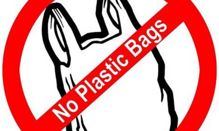 EMA plans plastic carrier bag ban for December 2022