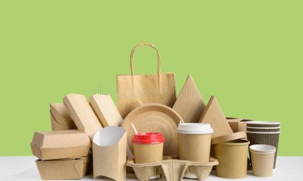 Packaging Business Ideas for Zimbabwe