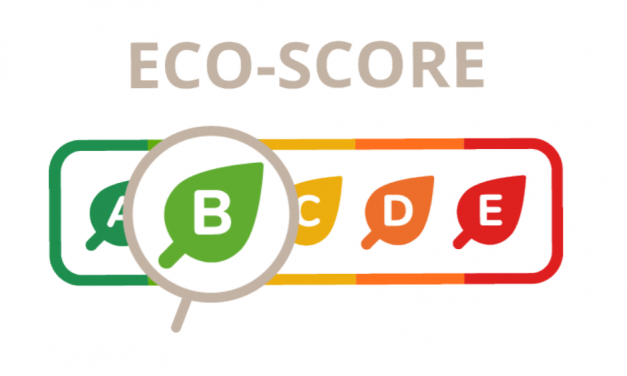 The Importance Of And Opportunities In Companies Impact Scoring In Zimbabwe