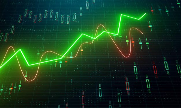ZSE up 26.39% in massive February rally