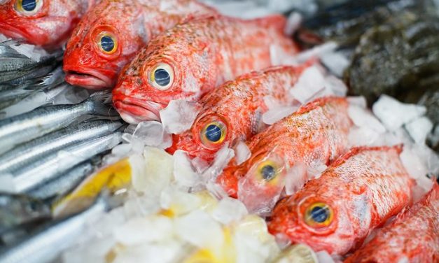 Fish Sales Business Idea In Zimbabwe