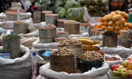 Traditional food business ideas for Zimbabwe