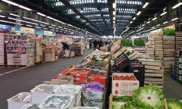 5 Wholesale Business Opportunities In Zimbabwe