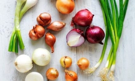 Onion Varieties Grown In Zimbabwe