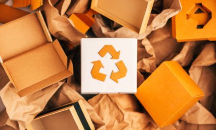 5 Recycled Packaging Business Ideas for Zimbabwe