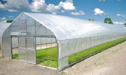 Greenhouse installations business idea for Zimbabwe