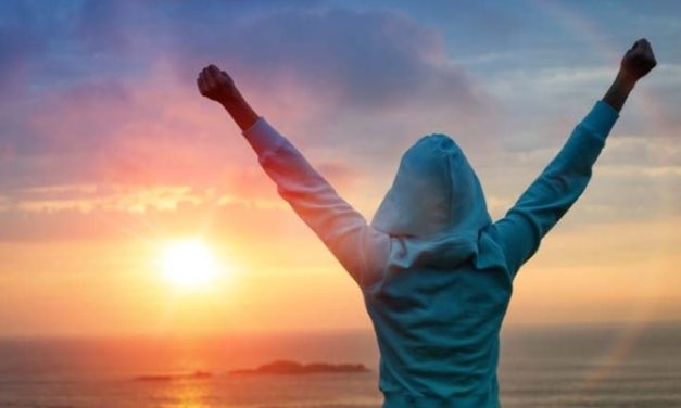 Businesses With Low Failure Rates in Zimbabwe