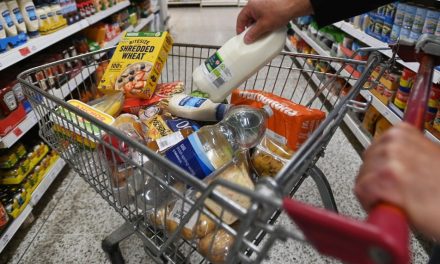 Inflation slows further in November