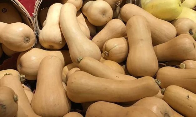 Tips For Profitable Butternut Production