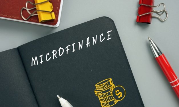 Most Zimbabwean Microfinance Institutions Undercapitalized