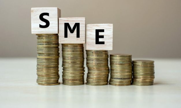 Zimbabwean SMEs Contributing Over US$8.6 Billion To GDP