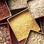The Latest On Grain Marketing Policies In Zimbabwe