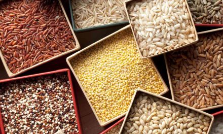 The Latest On Grain Marketing Policies In Zimbabwe