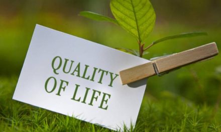  Cheap Things That Can Improve Your Quality of Life