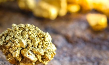 7 Business Ideas That Target Small Scale Gold Miners In Zimbabwe